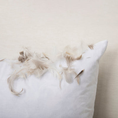 Scatter Cushion Inners - DIYGIRLS