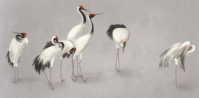 Crowned Crane Wall Mural - DIYGIRLS