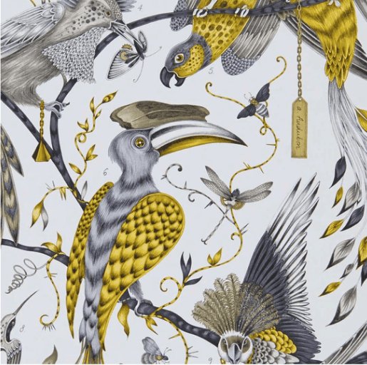 Emma J Shipley Audubon Wallpaper - DIYGIRLS