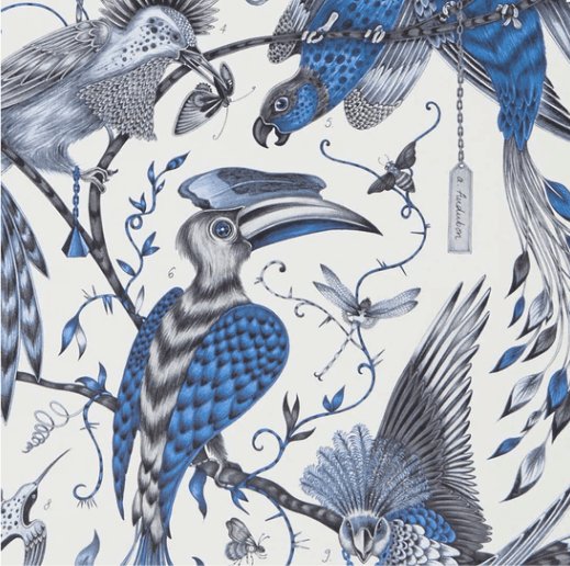 Emma J Shipley Audubon Wallpaper - DIYGIRLS