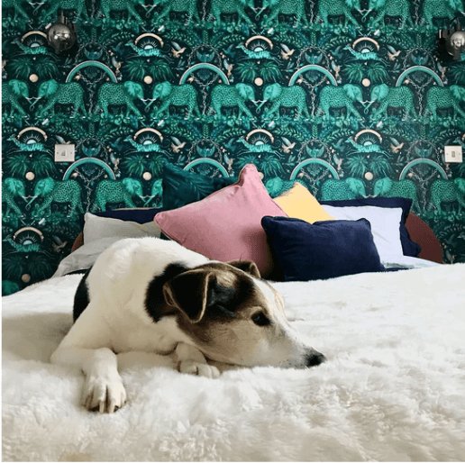 Emma J Shipley Zambezi Wallpaper - DIYGIRLS