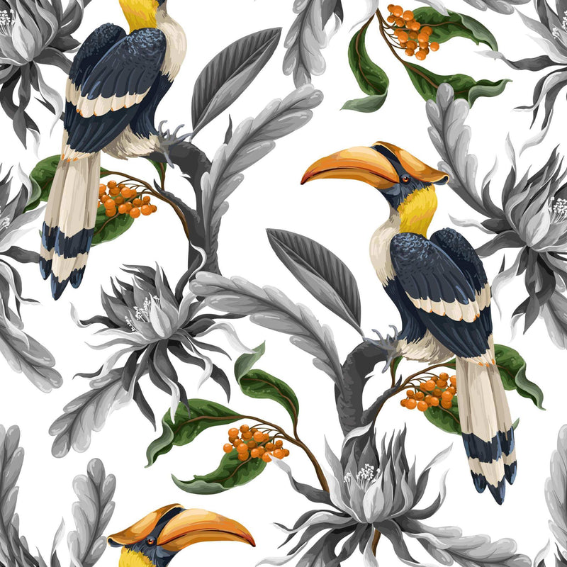 Hornbill Wallpaper - DIYGIRLS