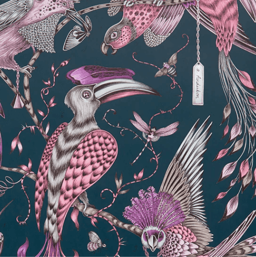 Emma J Shipley Audubon Wallpaper