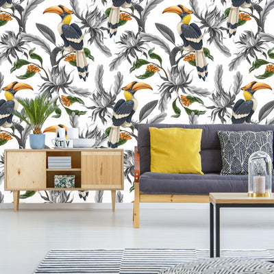 Hornbill Wallpaper